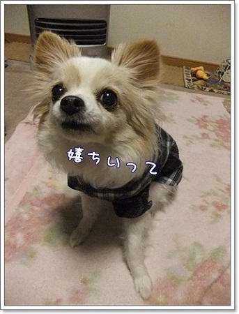 嬉しい