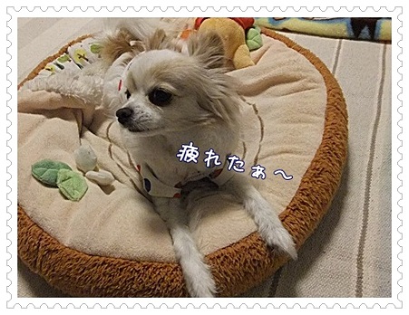疲れた