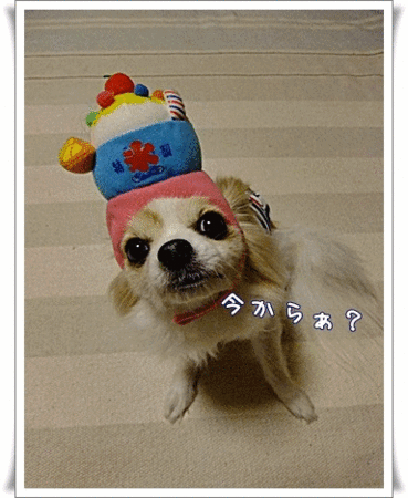お仕事?