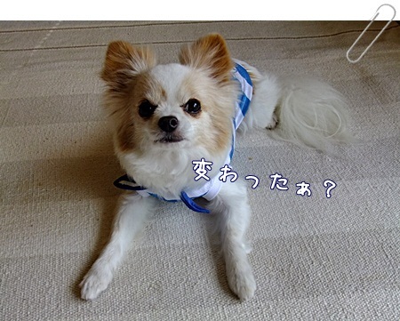 アフター