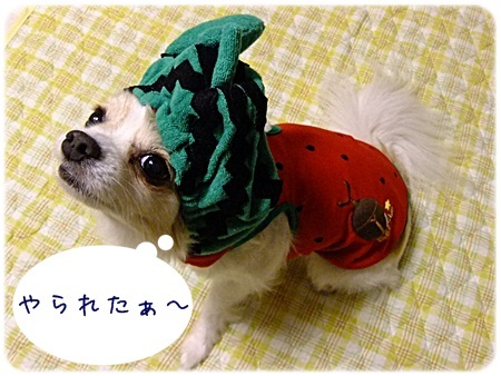 やられたぁ