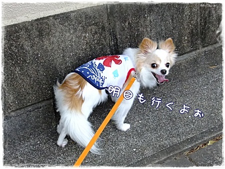 明日も