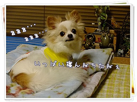 寝んね