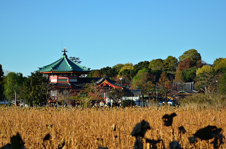 上野弁天堂