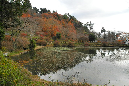鳥見山公園・6