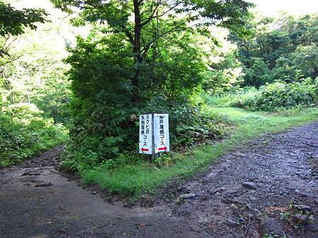 c-110710-065416 ルート分岐