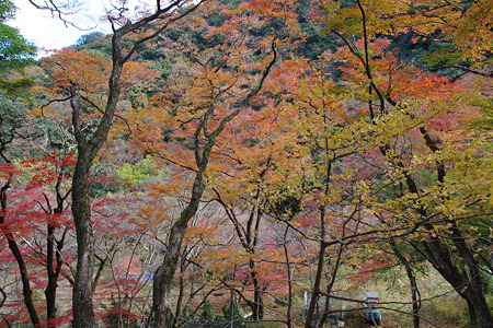 牛滝山 (8)
