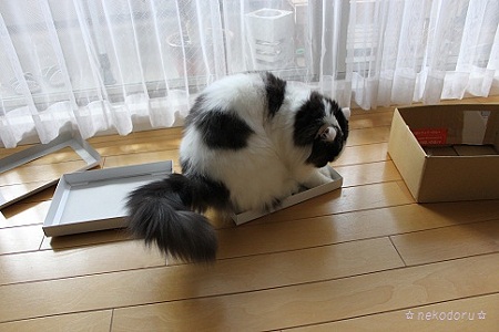小さすぎ