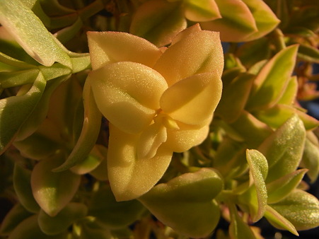 R0010848