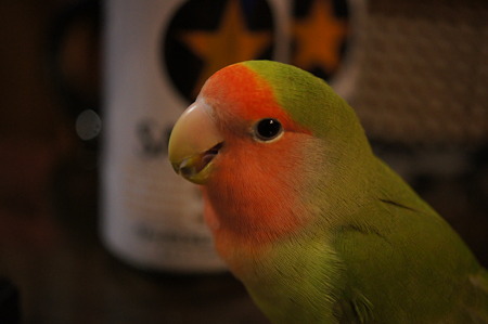 DSC00014