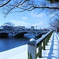 Photos: 冬の女川２