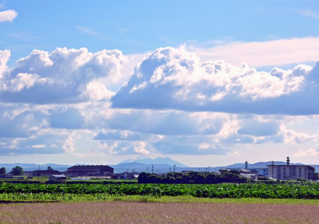 夏の桜島の景色